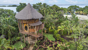 Bocas del Toro Escape - "Treehouse"