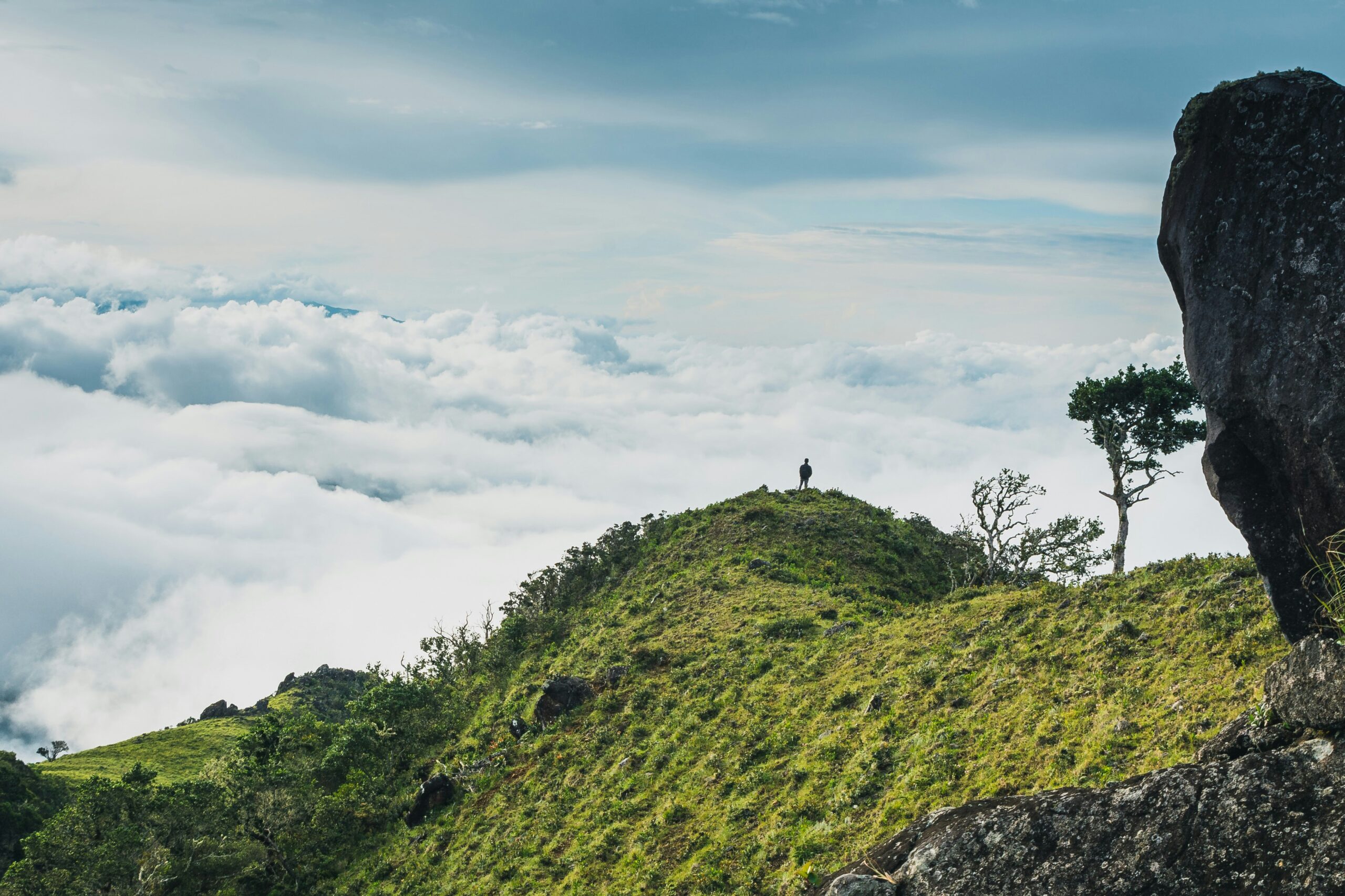 The Mountains of Boquete
